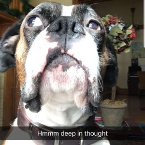 Meet your Posher, William